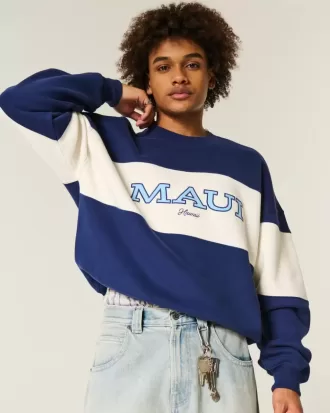 Baggy Cinch Maui grafische crew sweatshirt Baggy Cinch Maui grafische crew sweatshirt